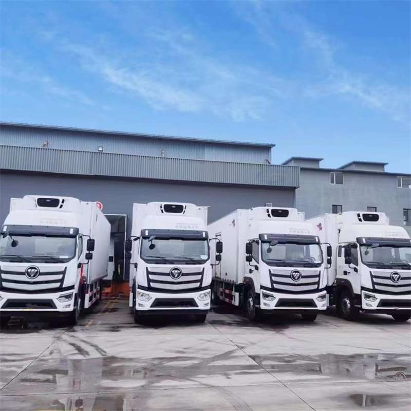 上高县新龙县进仓物流：多元专线直达运输探秘